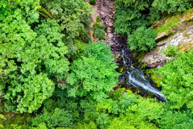 Vosges Dağları 'ndaki Nideck Şelalesi' nin üst manzarası - Alsace, Fransa