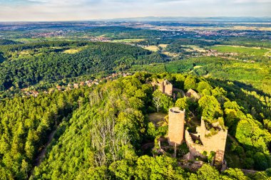 Lutzelbourg ve Rathsamhausen Kaleleri Ottrott 'taki Vosges Dağları - Alsace, Fransa