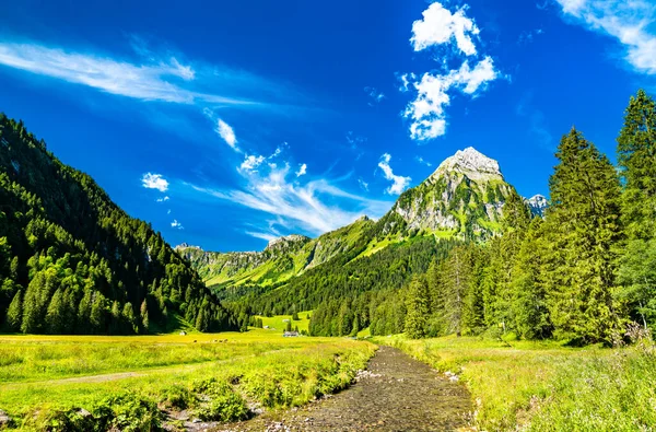 Brunnelistock berg en Sulzback kreek bij Obersee Valley in de Zwitserse Alpen — Stockfoto