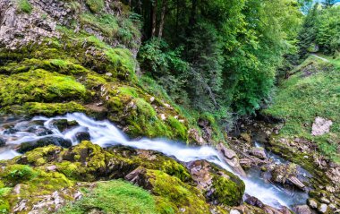 İsviçre 'deki Brienzersee Gölü' ndeki Giessbach Şelalesi