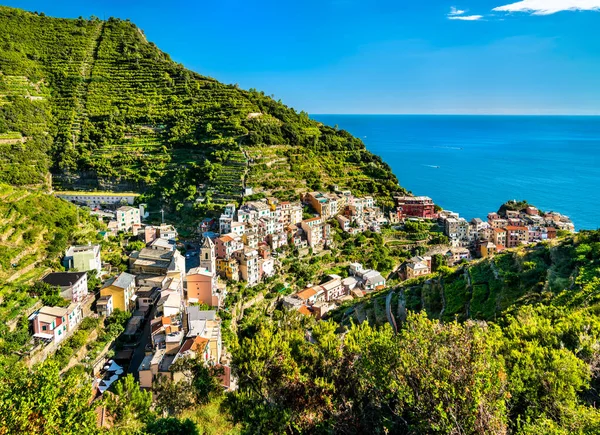 Wioska Manarola w Cinque Terre we Włoszech — Zdjęcie stockowe