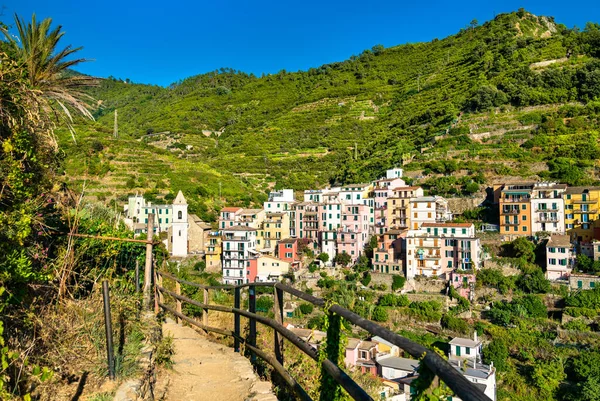 Manarola Village v Cinque Terre v Itálii — Stock fotografie