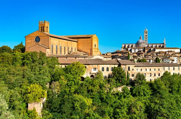 Basilikan San Domenico och katedralen Siena i Toscana, Italien — Stockfoto