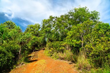 Babil, Palau 'daki antik bir bölge olan Badrulchau Stone Monoliths' e uzanan verimli tropikal ormanlarda rüzgarlar estiren kirli bir yol.