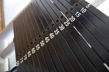 Spor eğitmeni yükler ile ilişkilendirilebilen ağırlığının dizgi