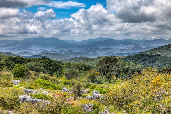 Dağ silsilesi San Luis Potosi, Meksika