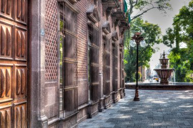 San Luis Potosi San Francisco Kilisesi Bahçesi