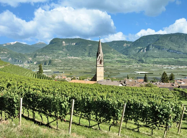 Вино Село Tramin Дер Weinstrasse Поблизу Мерано Озеро Caldaro Південний — стокове фото