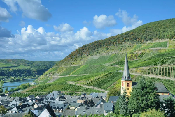 Köy Senheim Mosel Nehir Mosel Valley Yakınındaki Cochem Rhineland Palatinate — Stok fotoğraf