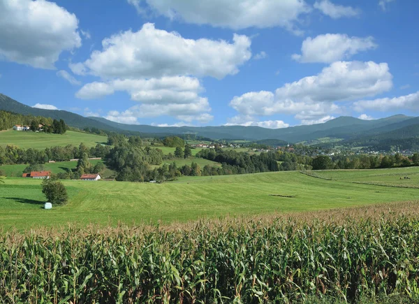 Visa Till Byn Lam Bayersk Skog Bayern Tyskland — Stockfoto