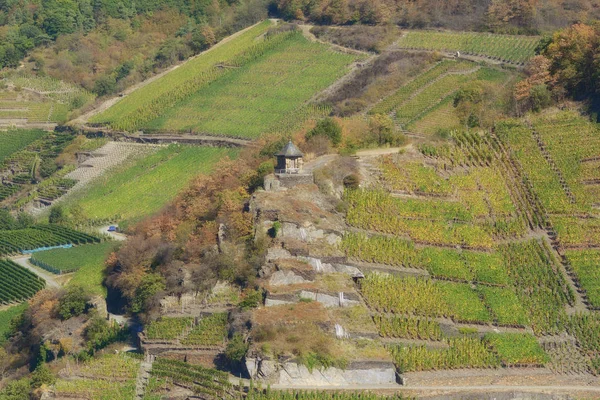 Vinodlings Landskap Ahrtal Rheinland Pfalz Tyskland — Stockfoto