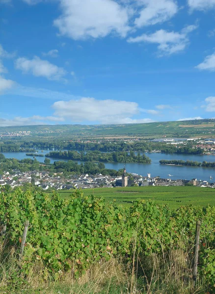 Famoso Pueblo Del Vino Ruedesheim Rhein Río Rin Rheingau Hesse —  Fotos de Stock