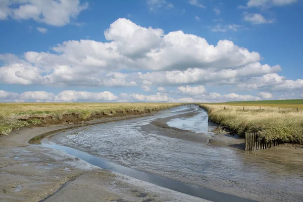 Salt Marsh Aan Noordzee Buurt Van Vuurtoren Van Westerhever Noord — Stockfoto