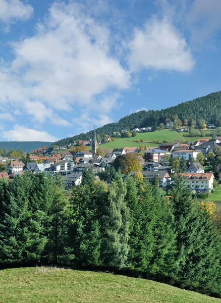 Village Populaire Baiersbronn Forêt Noire Baden Wuerttemberg Allemagne — Photo