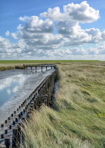 Salt Marsh Och Tidvatten Kanal Nordsjön Norra Friesland Nära Westerhever — Stockfoto