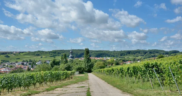 Село Jugenheim Rhinehessen Вино Рейнланд Пфальц Німеччина — стокове фото