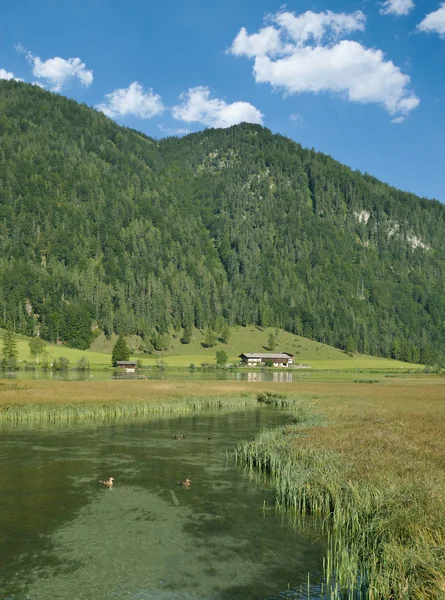 Ειδυλλιακή Λίμνη Pillersee Στην Κοιλάδα Pillersee Τιρόλ Κοντά Kitzbuehel Και — Φωτογραφία Αρχείου