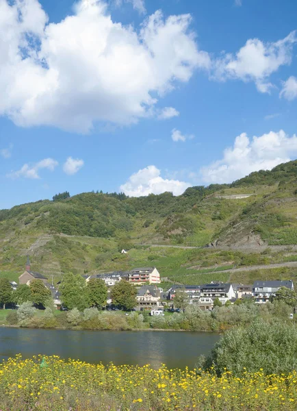 Wine Village Valwig Mosel River Mosel Valley Renânia Palatinado Alemanha — Fotografia de Stock