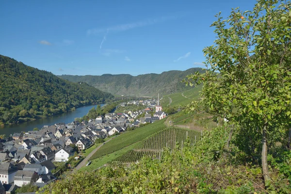 Wijndorp Ediger-Eller aan de Moezel in de Moezelvallei, Rheinland-Pfalz, Duitsland — Stockfoto