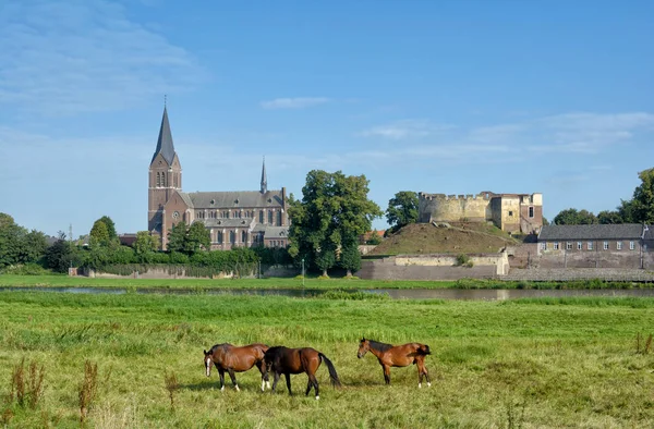 Byn Kessel Och Kasteel Keverberg Floden Maas Provinsen Limburg Nederländerna — Stockfoto