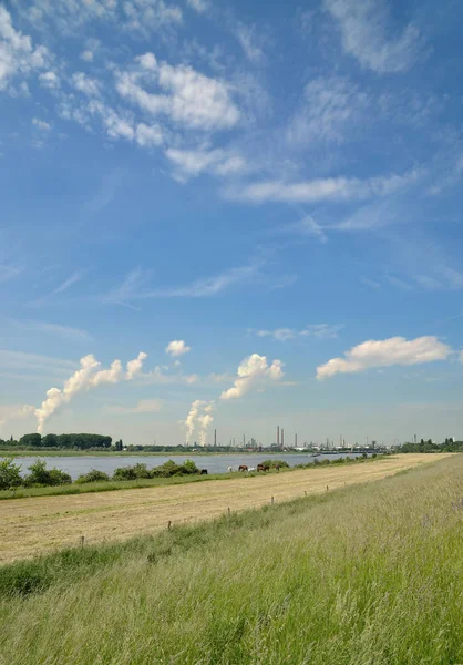 Industrial Plant Rhineland Rhine River Duesseldorf Cologne North Rhine Westphalia —  Fotos de Stock