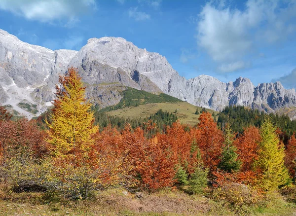 Herbstlandschaft Salzburger Land Österreich — Stockfoto