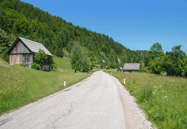 Landscape Pokljuka Plateau Triglav National Park Slovenia — Stock Photo, Image