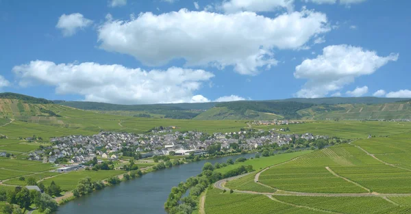 Village Viticole Leiwen Mosel River Dans Vallée Mosel Près Cochem — Photo