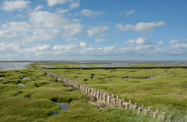 Kustskydd, Nordsjön, Tyskland — Stockfoto