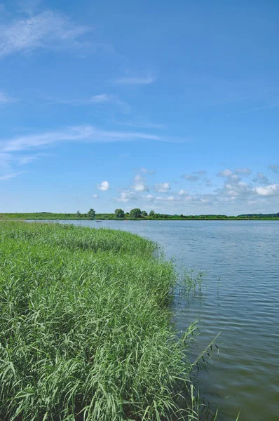 Річка Пелен Поблизу Карлшаген Уседом Балтійське Море Західна Померанія Німеччина — стокове фото