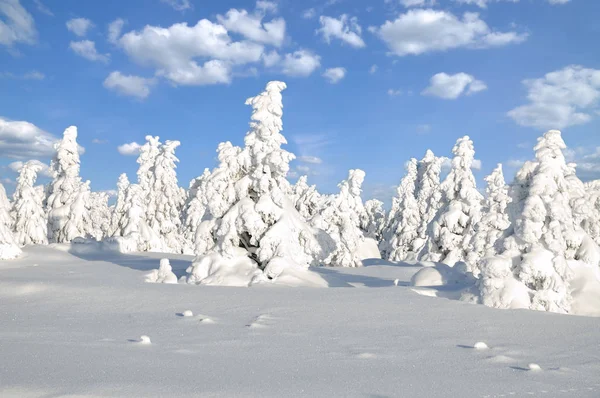 Brocken Mountain,Harz National Park,Germany — Stock Photo, Image