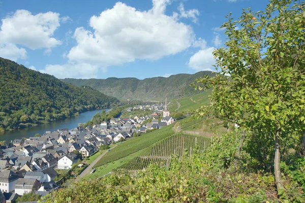 Wine Village Ediger Eller Río Mosel Valle Del Mosel Renania —  Fotos de Stock