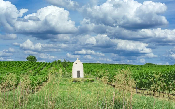 Trullo Vineyard Woellstein Rhinehessen Wine Region Rhineland Palatinate Alemanha — Fotografia de Stock