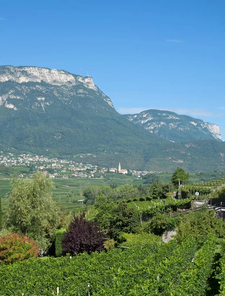 Kaltern Der Weinstraße Oder Kaltern Südtirol Trentino Italien — Stockfoto