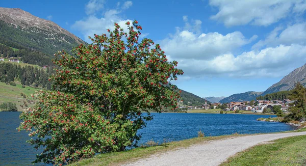 Haidersee Lub Jezioro Muta Val Venosta Vinschgau Południowy Tyrol Włochy — Zdjęcie stockowe