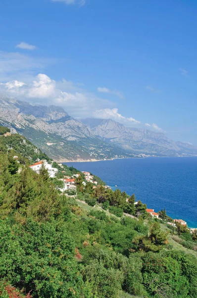 Küste Der Nähe Von Brela Der Adria Makarska Riviera Dalmatien — Stockfoto