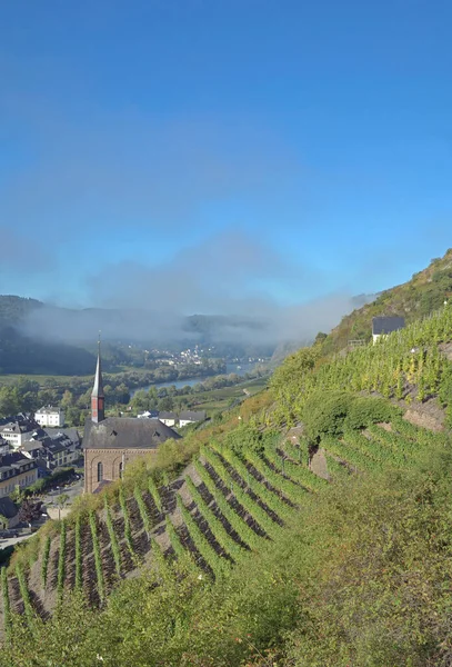 Wioska Winiarska Valwig Mosel Valley Niemcy — Zdjęcie stockowe