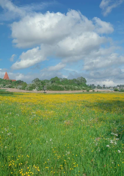 Villaggio Kirchdorf Sull Isola Poel Mar Baltico Meclemburgo Pomerania Anteriore — Foto Stock