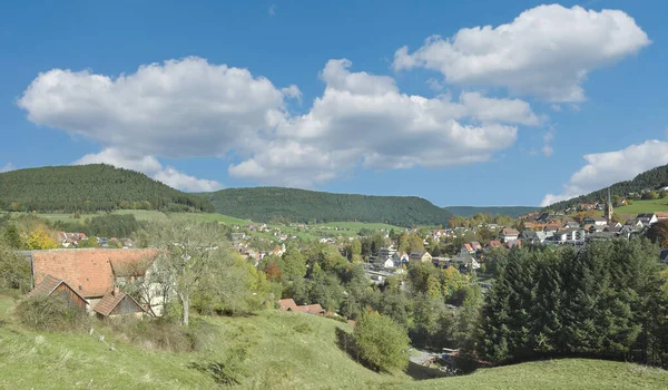 Villaggio Baiersbronn Foresta Nera Germania — Foto Stock