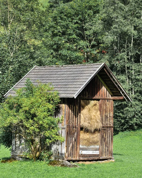 Veevoer Genaamd Heustadl Tirol Oostenrijk — Stockfoto