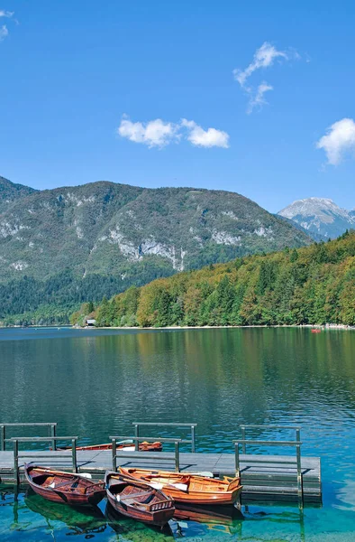 Озеро Бохіндж Національному Парку Триглав Словенія — стокове фото