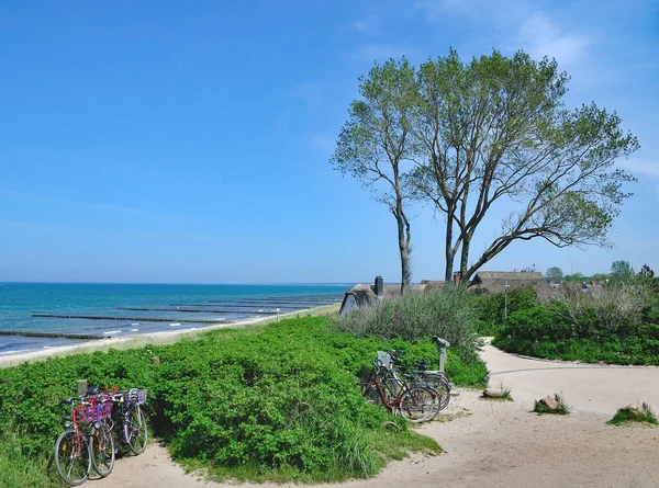 Coastal Landscape Ahrenshoop Fischland Darss Zingst Baltic Sea Mecklenburg Vorpommern — Stock Photo, Image