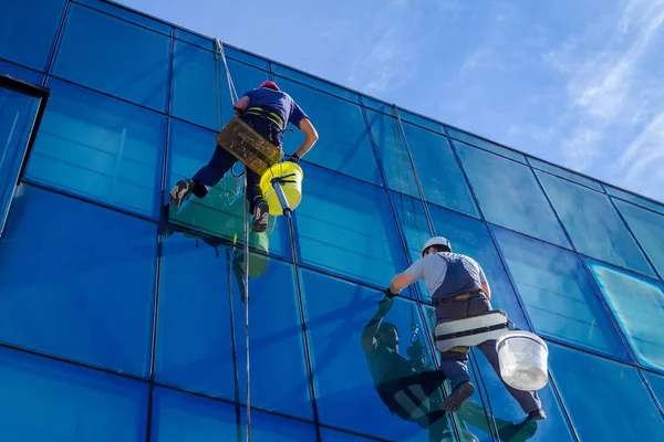 Industrial climbers are applying silicone to rubber juncture among building\'s glass facade.