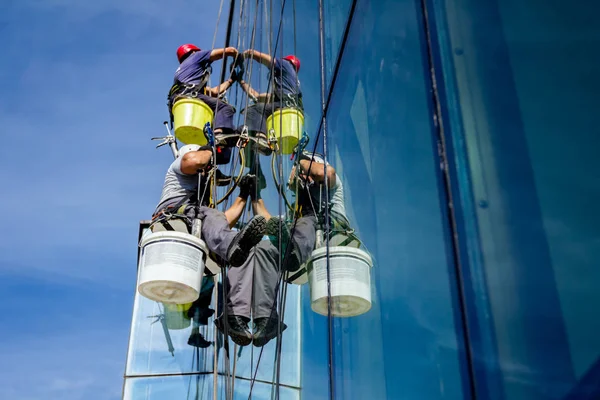 Industrial climbers are applying silicone to rubber juncture among building\'s glass facade.