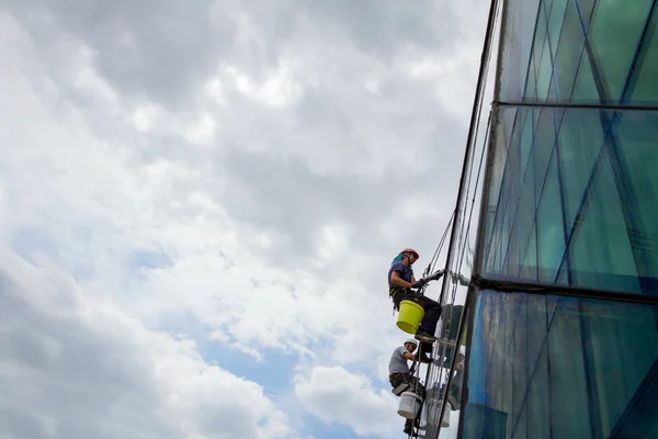 Industrial climbers are applying silicone to rubber juncture among building\'s glass facade.