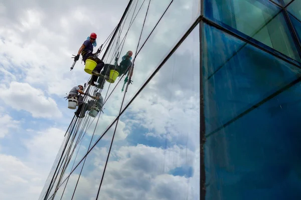 Industrial climbers are applying silicone to rubber juncture among building\'s glass facade.