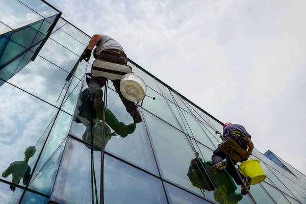 Industrial climbers are applying silicone to rubber juncture among building\'s glass facade.