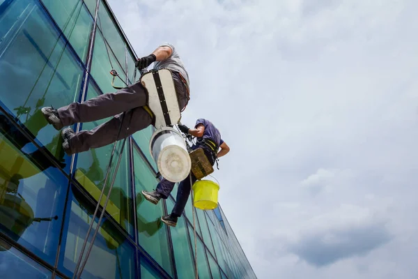 Industrial climbers are applying silicone to rubber juncture among building\'s glass facade.