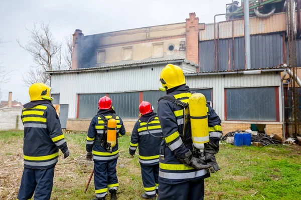 Vista Trás Equipe Bombeiros Uniforme Com Engrenagem Segurança Cheia Bombeiros — Fotografia de Stock