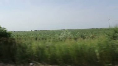 Kırsal yolda araba araba. Bir araba bir ülke road, pov, bakış açısı açık, ön cam